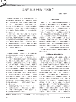 霊長類ES/iPS細胞の凍結保存