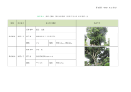 保存樹木の指定一覧こちらから