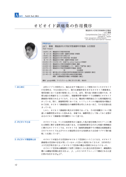 オピオイド鎮痛薬の作用機序