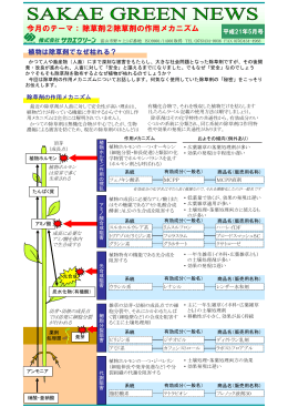 今月のテーマ： 除草剤②除草剤の作用メカニズム