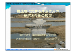 構造物に対する津波作用の研究と今後の展望（5.42MB）