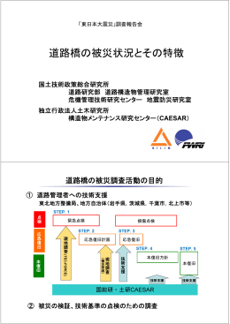 道路橋の被災状況とその特徴について