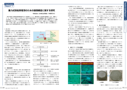 重力式係船岸増深のための基礎構造に関する研究