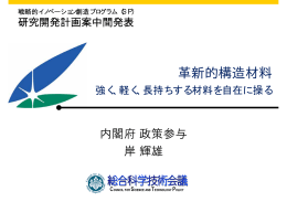 岸参与プレゼン資料（PDF形式：446KB）