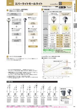 エバーライトモールライト