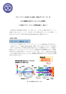 ブルーライトを発する LED（発光ダイオード）が 目に影響を及ぼす