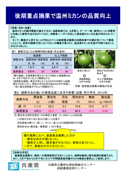 後期重点摘果で温州ミカンの品質向上 - 兵庫県立農林水産技術総合