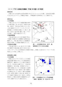 （11）アサリ生態分布調査（平成 18 年度～22 年度）