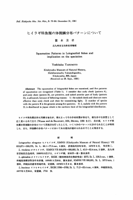 ヒイラギ科魚類の体側鱗分布パターンについて