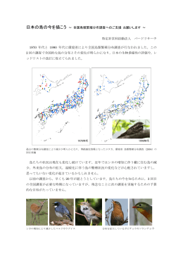 009 日本の鳥の今を描こう ～全国鳥類繁殖分布調査
