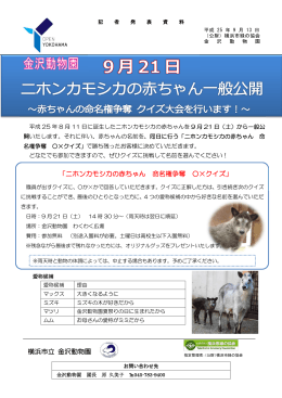 横浜市立 金沢動物園 「ニホンカモシカの赤ちゃん 命名権争奪 ×クイズ」