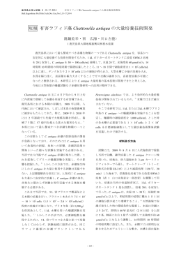 短報 有害ラフィド藻 の大量培養技術開発 Chattonella antiqua