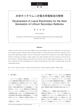 次世代リチウム二次電池用電解液の開発