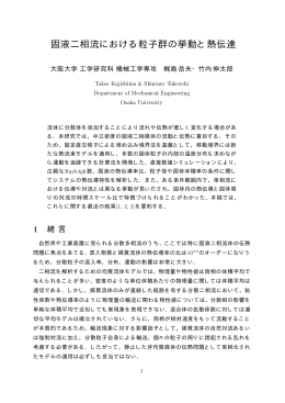 固液二相流における粒子群の挙動と熱伝達