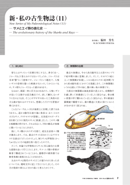 新・私の古生物誌（11）