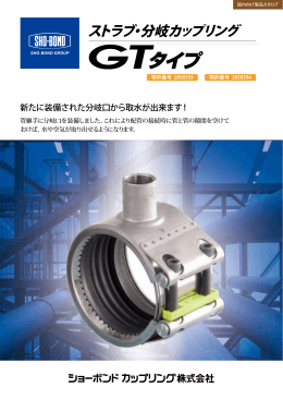 ストラブ分岐カップリング GTタイプ