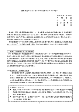「燃料調達コスト引下げに向けた当面のアクションプラン」（PDF）