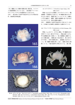 ン状。雌雄ともに歩脚の指節は短い鉤爪状。フジナマ コの総排泄腔に