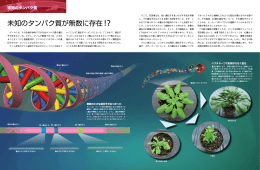 未知のタンパク質が無数に存在!?