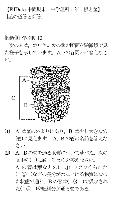 Fddata 中間期末 中学理科1 年 根と茎 茎の道管と師管 問題 1 Fddata 中間期末 中学理科1 年 根と茎 茎の道管と師管 問題 1