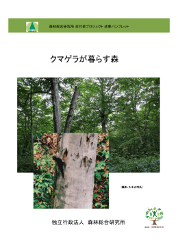 クマゲラが暮らす森（PDF：6027KB）