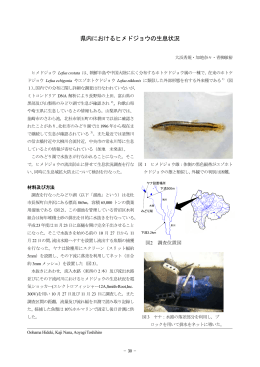 県内におけるヒメドジョウの生息状況（PDF：922KB）