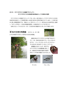 新 池の生息生物調査 2015、6、22（晴）