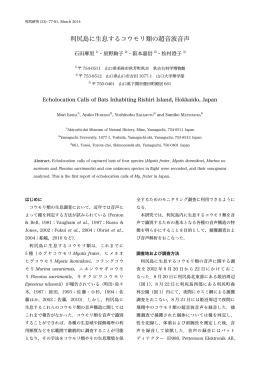 利尻島に生息するコウモリ類の超音波音声