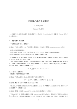正則開凸錘の幾何概説