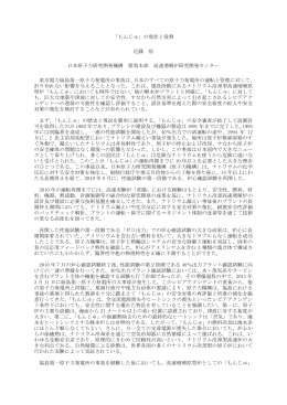 講演要旨 - 日本原子力研究開発機構