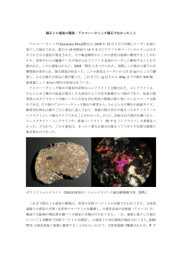 隕石と小惑星の関係