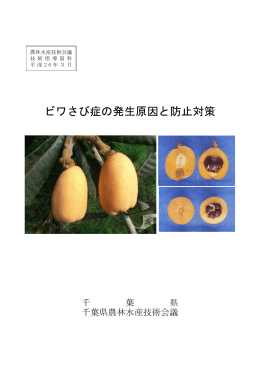 001 技術指導資料（ビワさび症の発生原因と防止対策）