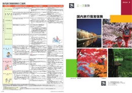 国内旅行傷害保険 - ACE Group