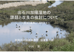 出石川加陽湿地の 課題と改良の検討について