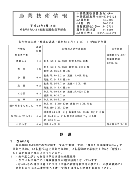 8月15日