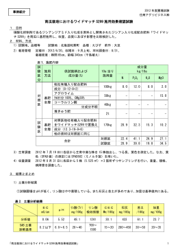 南瓜栽培におけるワイドマッチ S299 施用効果確認