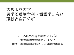 大阪市立大学医学部看護学科・看護学研究科現状と自己分析（その1）