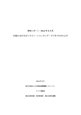 UAEにおけるオンライン・ショッピング・ビジネスの