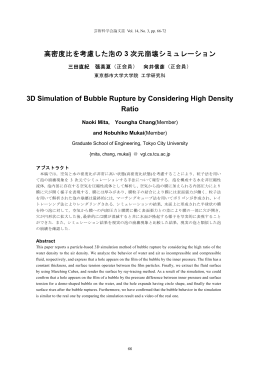高密度比を考慮した泡の 3 次元崩壊シミュレーション 3D