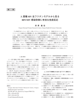 3. 弱毒 SIV 生ワクチンモデルから見る HIV/SIV 感染防御に有効な免疫