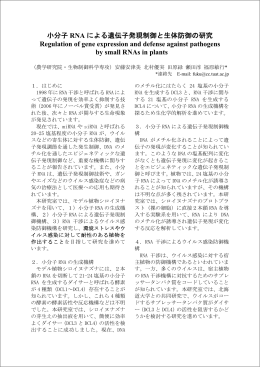 小分子 RNA による遺伝子発現制御と生体防御の研究 Regulation of