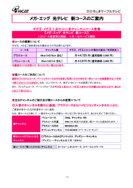 メガ・エッグ 光テレビ 新コースのご案内