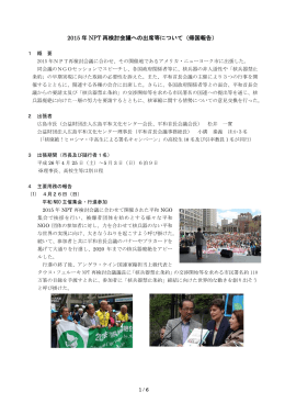 2015 年 NPT 再検討会議への出席等について（帰国報告）