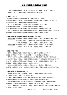 経鼻内視鏡検査用(PDF : 286.64 KB)