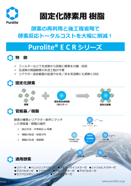 固定化酵素用樹脂 Purolite® E C Rシリーズ