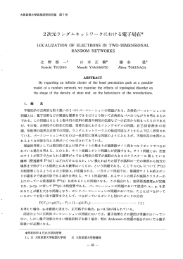 2次元ランダムネットワークにおける電子局在＊