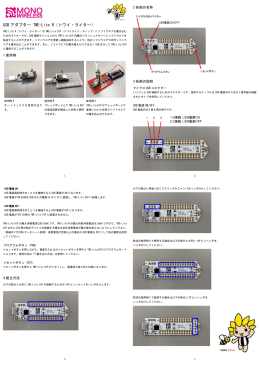 USB アダプター TWE-Lite R（トワイ・ライター）