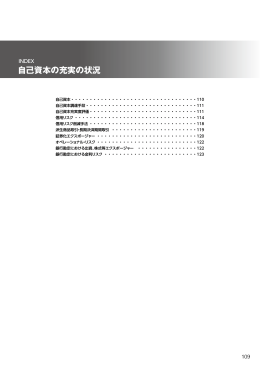自己資本の充実の状況 (PDF/953KB)