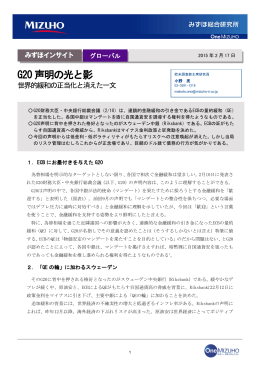 G20 声明の光と影
