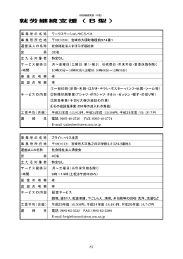 就労継続支援B型（PDF：1155KB）